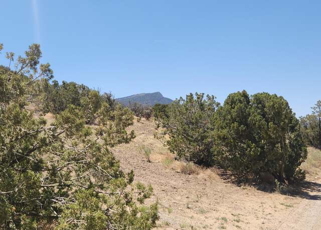 Property at 4 Charlotte Ln, Placitas, NM 87043
