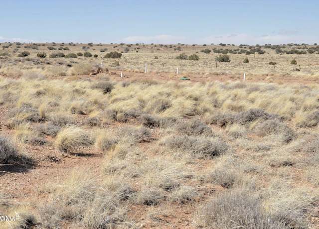 Property at 8037 Uttecht Trl, Snowflake, AZ 85937