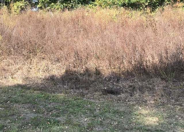 Property at TBD Lot#12 Chestnutwood Dr #12, Chilhowie, VA 24319