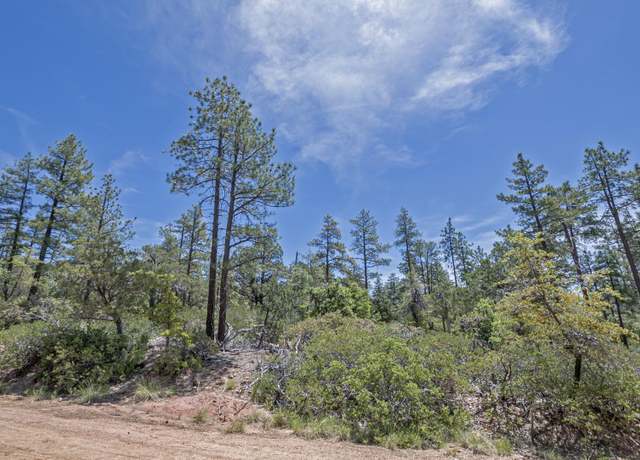 Property at 4521 N Pine Hollow Trl, Pine, AZ 85544