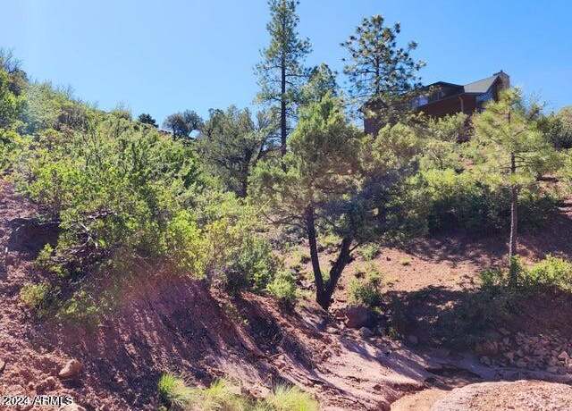Property at 55 Foxtail Cir #55, Pine, AZ 85544